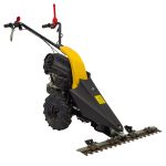 texas_cb8700_20200127