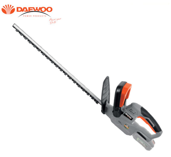 462579023 953237266714295 2835194362247203794 n