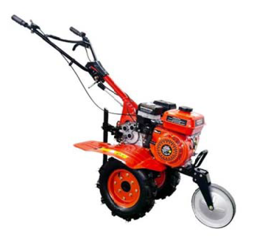 478405694 4436254646600764 6022714376846678020 n